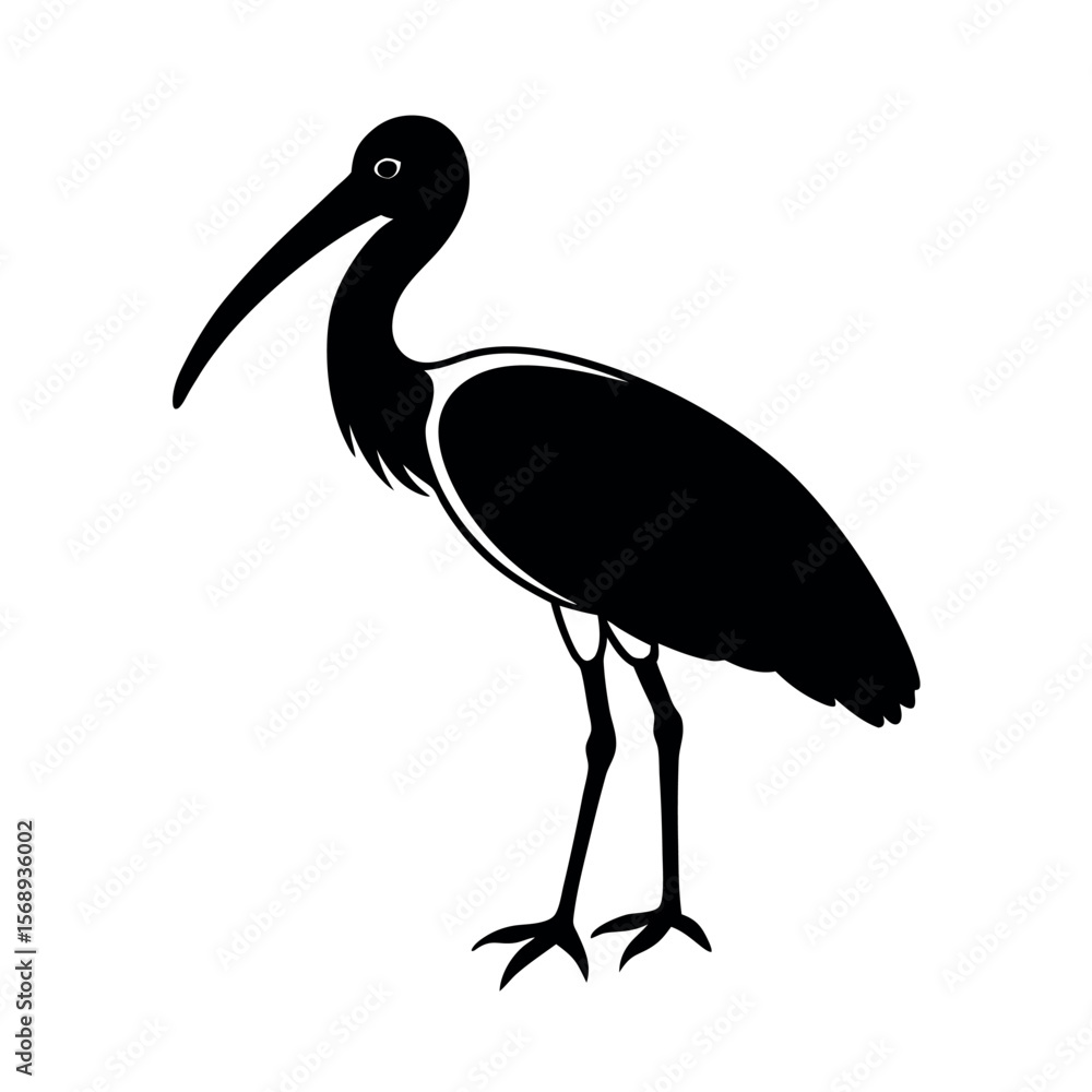 Fototapeta premium wood stork 