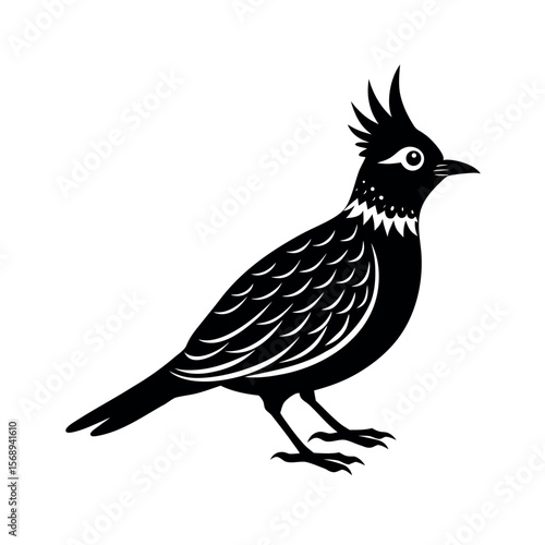 crested lark