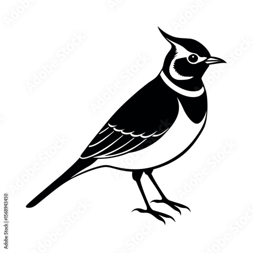 horned lark