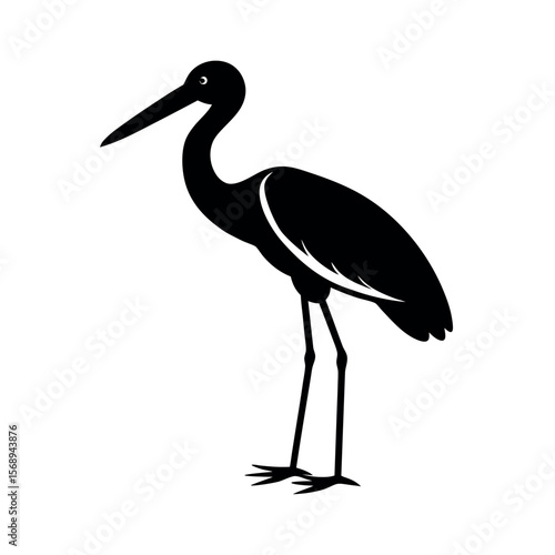 jabiru 