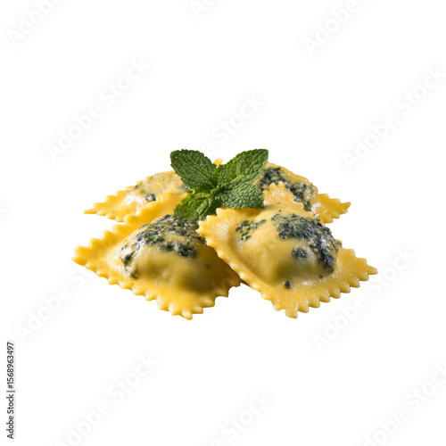 Delicious Homemade Ravioli with Fresh Herbs
