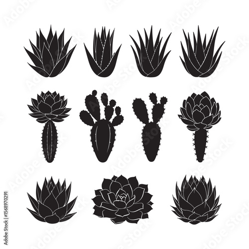 Twelve Black Silhouettes of Succulents and Cacti Aloe Vera Plants Echeveria Cactus Designs Botanical Illustrations Set of Desert Plants