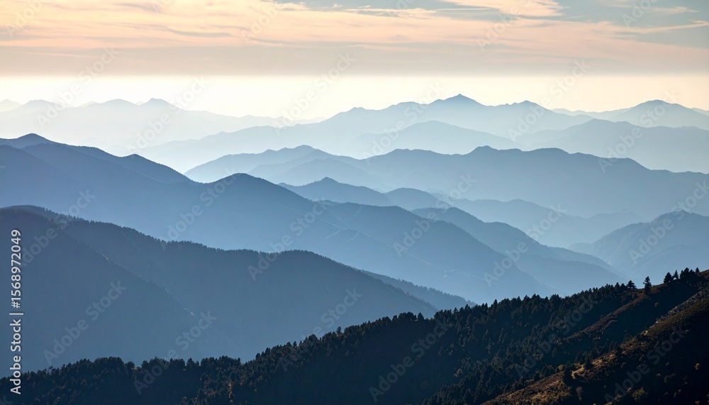 Obraz premium mountains in the fog