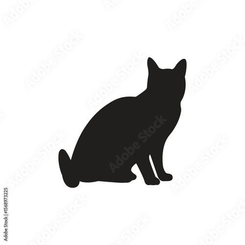 Sitting Cat