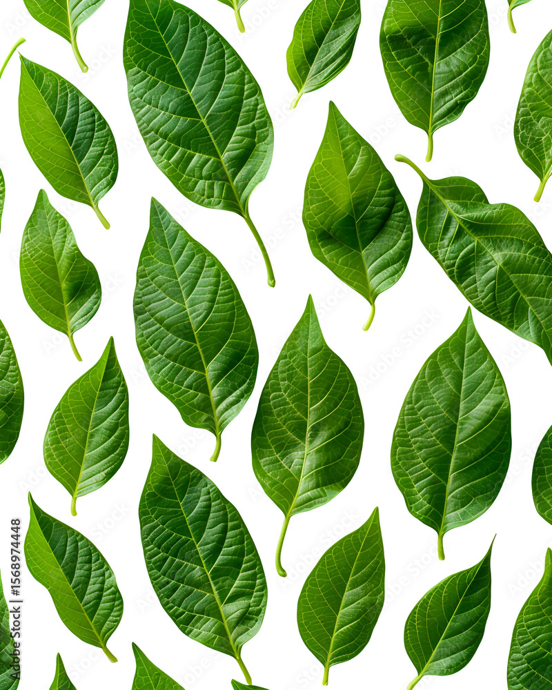 Fototapeta premium Lush green leaves on black background vibrant foliage pattern
