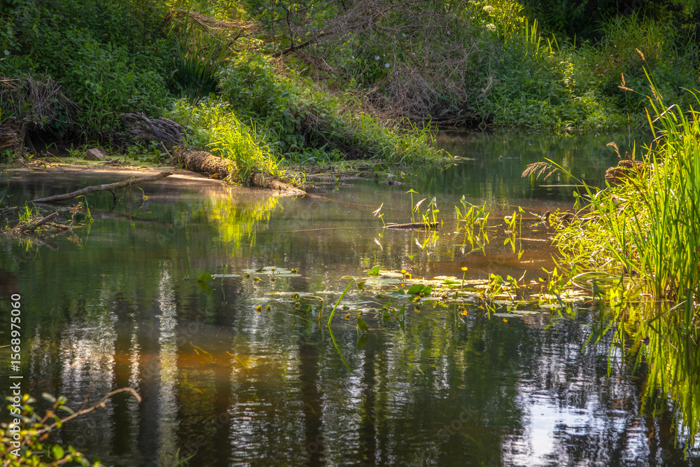 Small river Grabia in central Poland. Small river Grabia in central Poland.