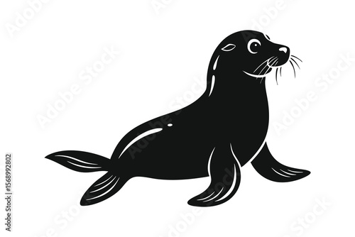 sea lion seal vector illustration on white background