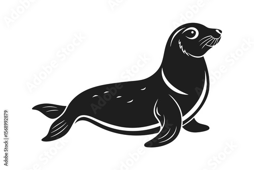 sea lion seal vector illustration on white background