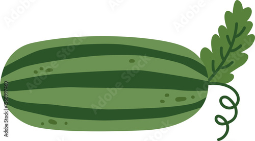 Watermelon Fresh Fruit Vector Illustration