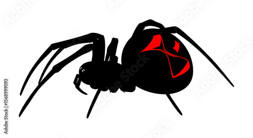 Black Widow Spider Creeping, isolated on white, conceptual danger sign, with graphic illustration