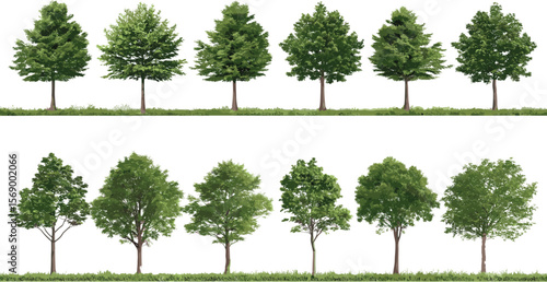 Realistic deciduous tree collection, front view trees set, green foliage elements for landscape design, isolated tree pack illustration, garden forest greenery assets