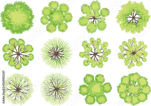 Top view green tree illustrations set, aerial cartoon foliage elements, landscape planning symbols, botanical vector icons, park and garden design clipart collection