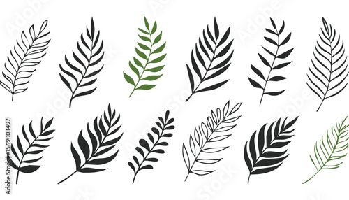 Set of hand drawn tropical leaves. Silhouettes of abstract branches in minimalist style. Vector illustration in black white colors.leaf, outline, abstract, illustration, botany, monstera, nature, 