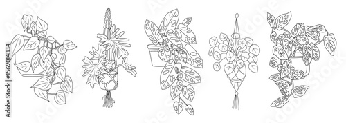 Vector set of hanging and trailing houseplants in pots. Line art sketch style with botanical outline drawings. Minimalist plant decor isolated on transparent background