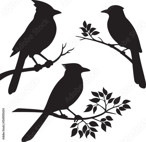 Bird Silhouette Vector Icon Design – Flying Animal Outline Graphic for Nature and Wildlife Themes
