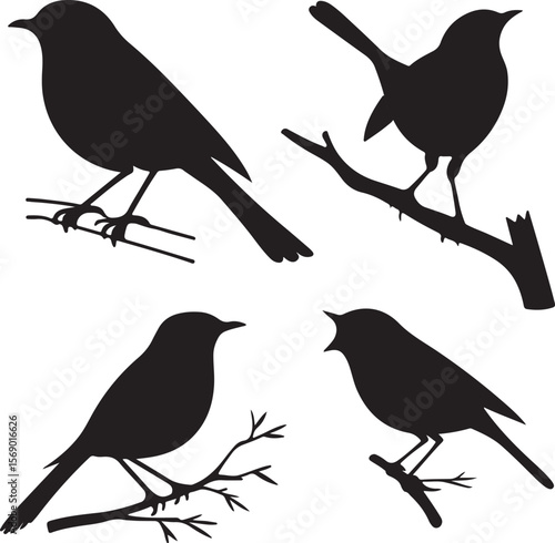 Bird Silhouette Vector Icon Design – Flying Animal Outline Graphic for Nature and Wildlife Themes