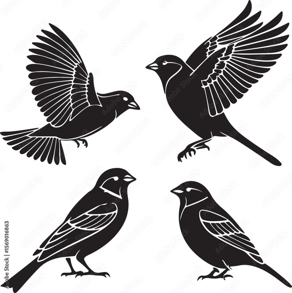 Fototapeta premium Bird Silhouette Vector Icon Design – Flying Animal Outline Graphic for Nature and Wildlife Themes