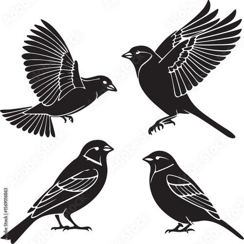 Bird Silhouette Vector Icon Design – Flying Animal Outline Graphic for Nature and Wildlife Themes