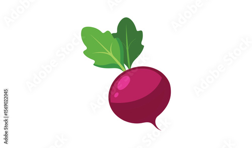 Stylized illustration of a single ripe beetroot with vibrant green leaves on a white background