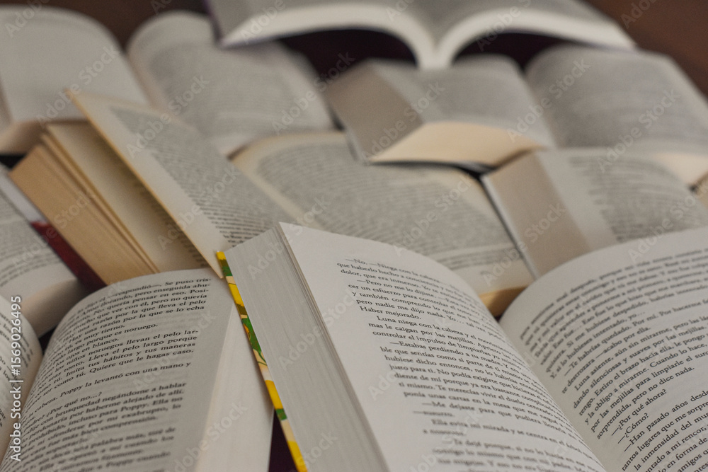 Obraz premium recopilación de libros