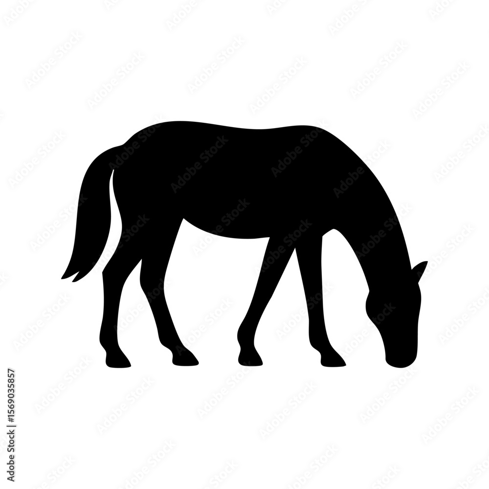 Fototapeta premium Horse Silhouette Grazing Isolated on White Background