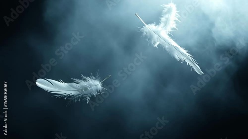 Three white feathers are floating in the air above a dark blue sky. Concept of tranquility and calmness, as the feathers seem to be weightless and free-spirited. The blue sky serves as a backdrop