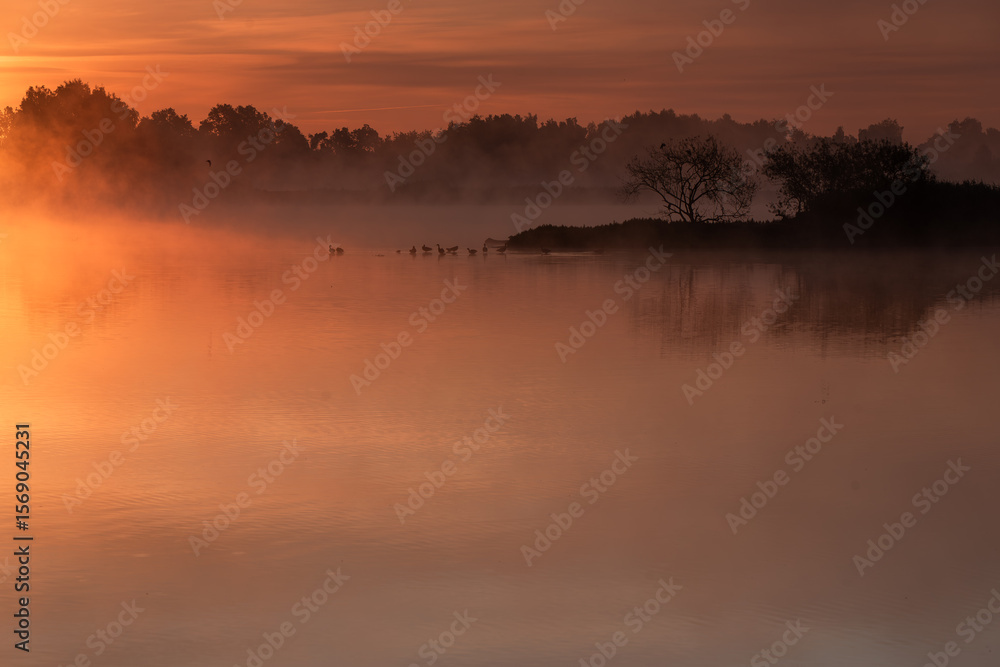 Fototapeta premium Piękny, letni wschód słońca we mgle, Polska.