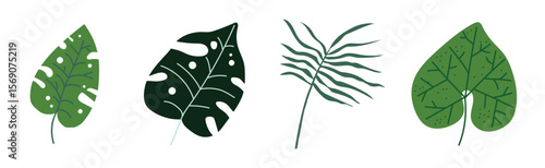 Green Tropical Leaf and Jungle Foliage Vector Set