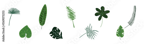 Green Tropical Leaf and Jungle Foliage Vector Set