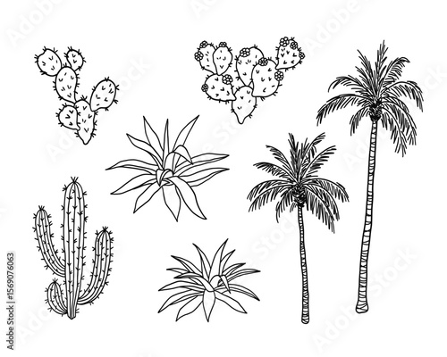 Set of desert plants. Palm tree with leaf and trunk, Agave or Aloe vera succulent, Prickly cactus with thorns and flowers. Summer tropical design element. Botanical hand drawn sketch illustration