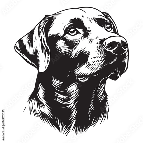 Black dog head silhouette on white background, dog head vector