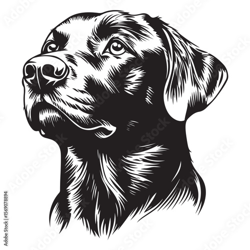Black dog head silhouette on white background, dog head vector