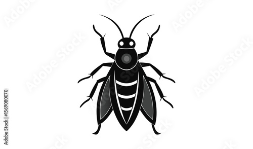 Stylized black insect with wings and antennae isolated on white background