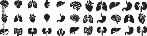 A comprehensive set of human internal organ silhouettes provides essential visual elements for medical, scientific, and healthcare-related educational designs.