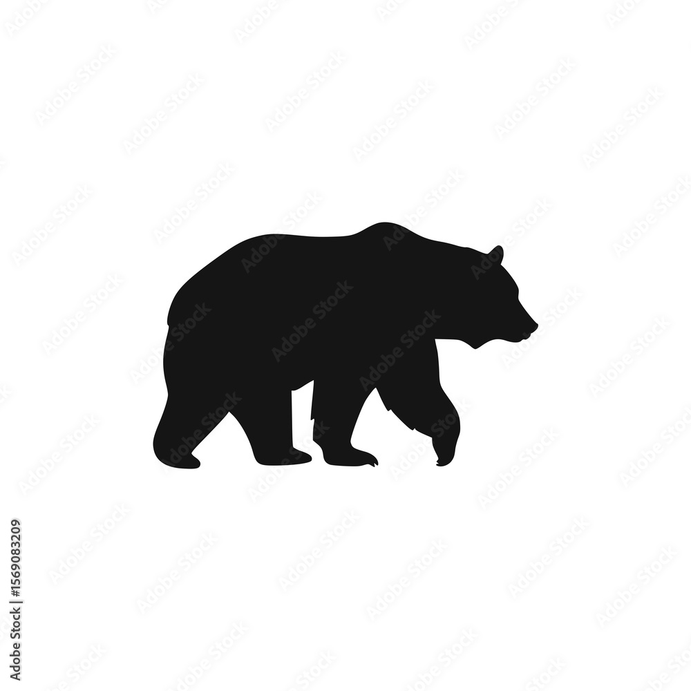 Fototapeta premium Silhouette of a large bear walking across a white background, isolated.