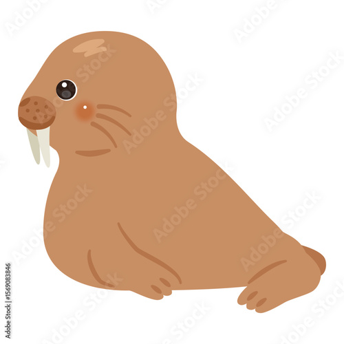 セイウチの横向きイラスト