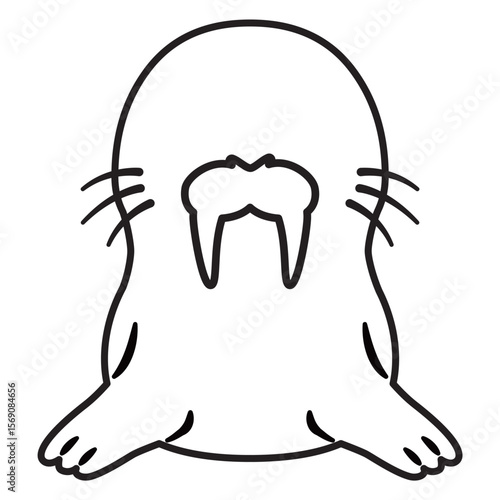 セイウチの線画
