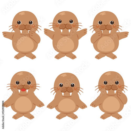 指さしをするセイウチのキャラクターイラストセット