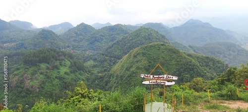 summer landscape with mountains