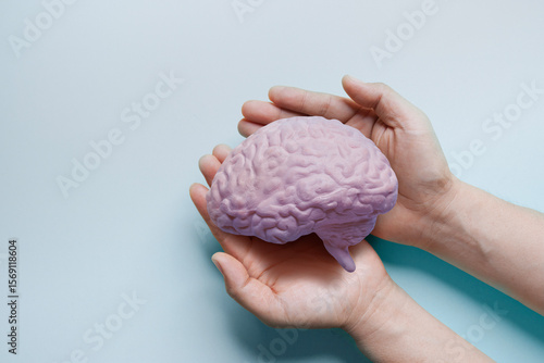 Tableau sur toile adult hands holding brain model autistic brain on light blue background, stroke, epilepsy and alzheimer's disease, stroke,world mental health day concept