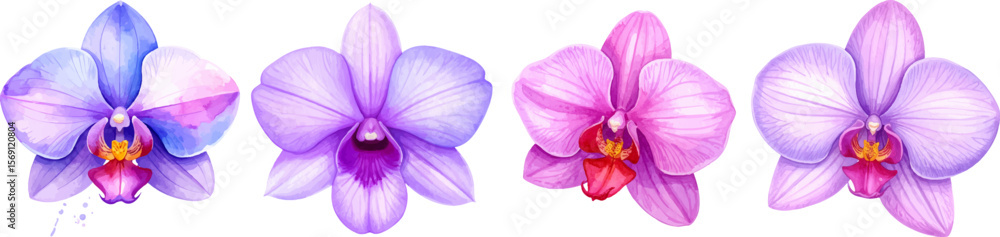 Blooming purple crocus petals and violet orchid blossoms isolated on a white background capture the beautiful essence of spring flora Blooming purple crocus petals and violet orchid blossoms isolated on a white background capture the beautiful essence of spring flora