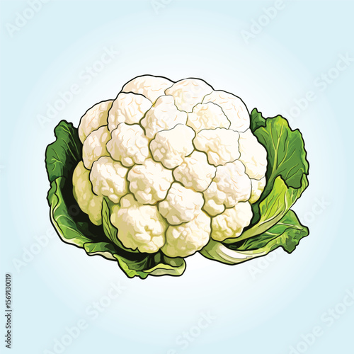 Hand drawn illustration of fresh vegetables