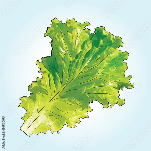 Hand drawn illustration of fresh vegetables