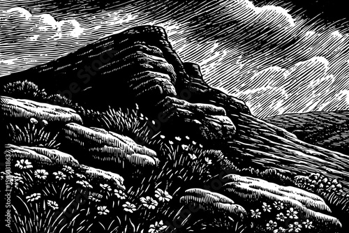 A windswept mountain ridge with tundra moss, lichen, and scattered alpine flowers vector a black and white line art illustration