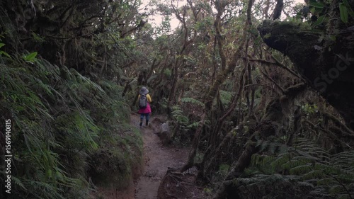 hiker in rainforest near mount pulag, Philippines 