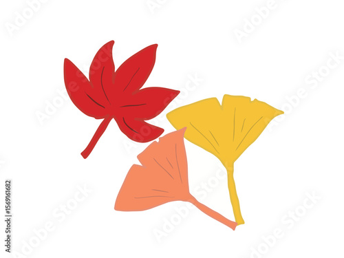 Illustration of autumnal ginkgo and maple leaves