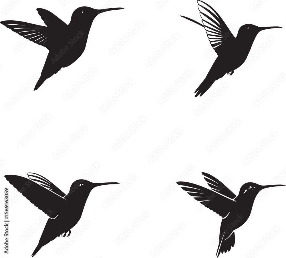 Obraz premium Hummingbird Silhouettes