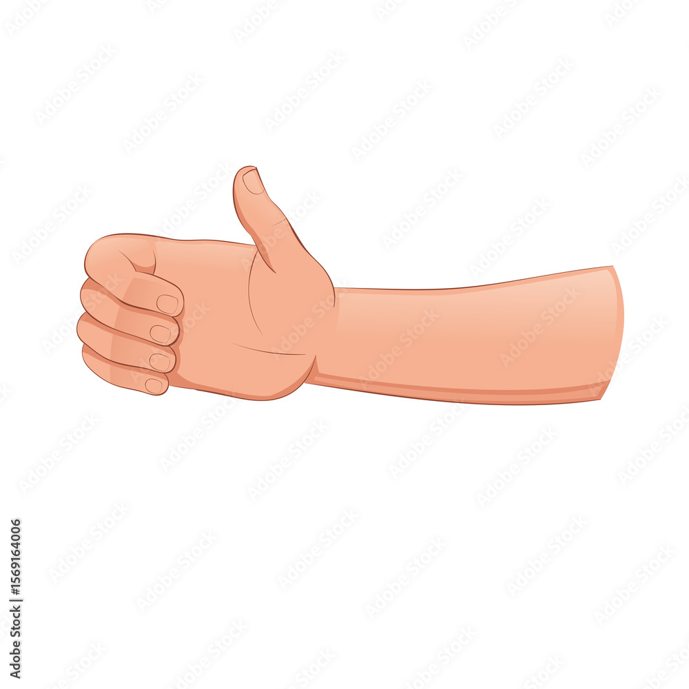 hand with thumb up hand with thumb up