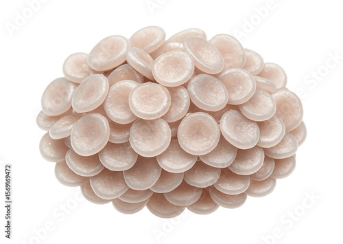 Platelet aggregate with clustered, densely packed thrombocytes