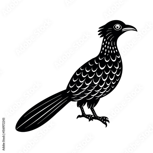Asian Koel Tropical Bird Design  
